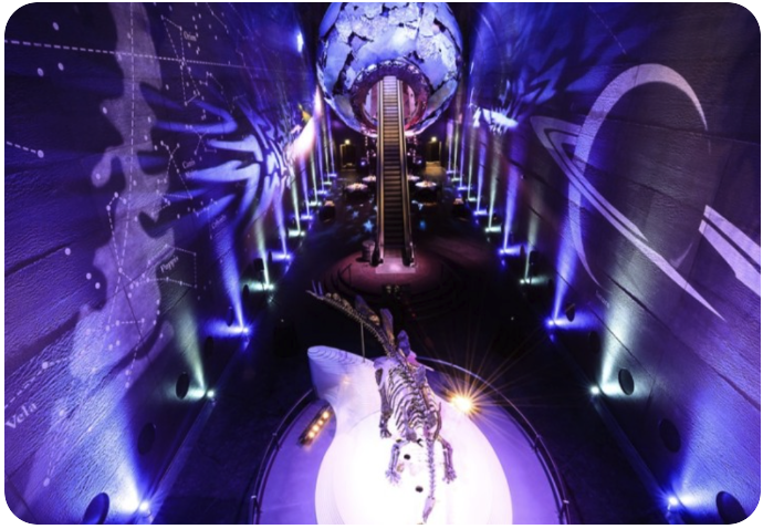 AWS Trailblazer NHM Pic